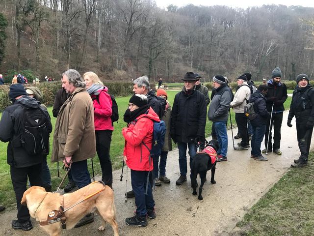 Marche à Louvain-la-N.