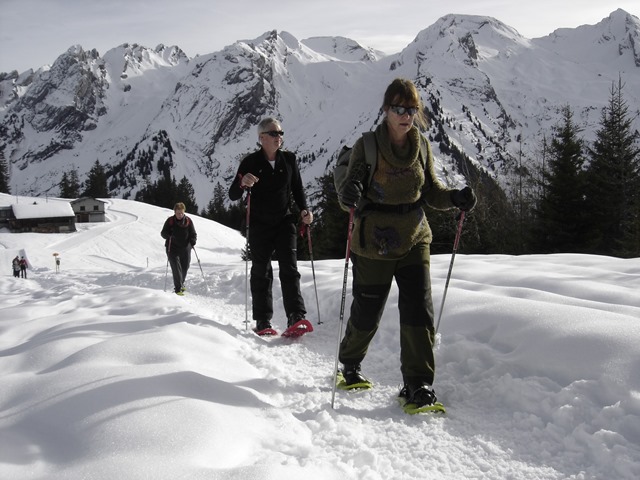 Raquettes à neige, St-Jean-de-Sixte, 2014