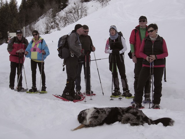 Raquettes à neige, St-Jean-de-Sixte, 2014