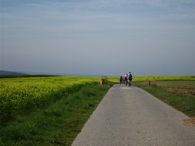 Randonnée tandem, Marche, 2014