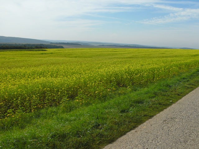 Randonnée tandem, Marche, 2014