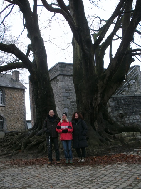 Randonnée pédestre à Namur, 2014