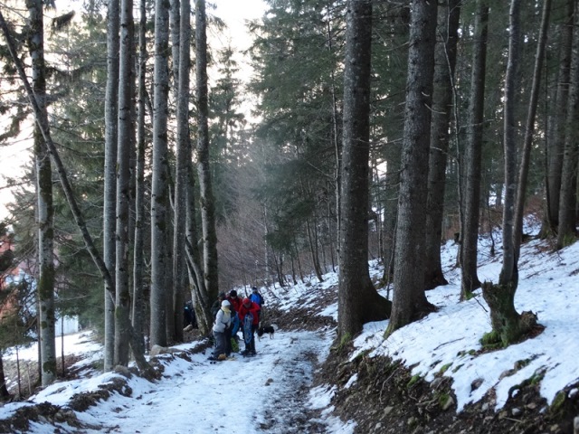 Randonnées raquettes à neige, 2015