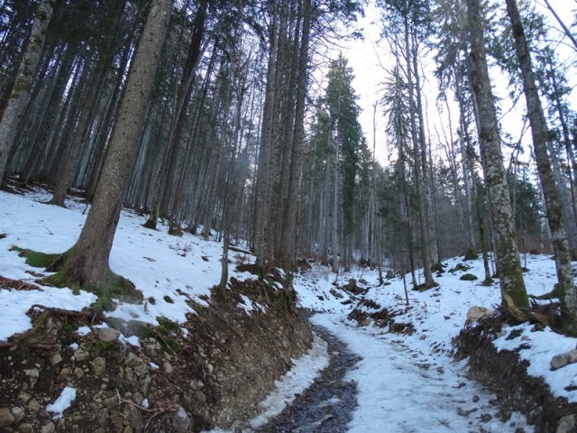 Randonnées raquettes à neige, 2015