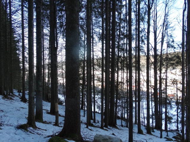 Randonnées raquettes à neige, 2015