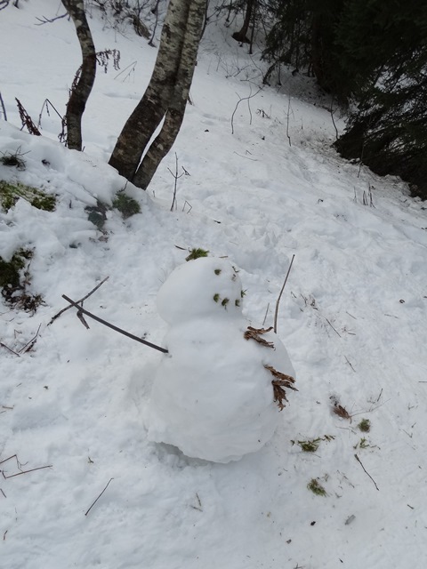 Randonnées raquettes à neige, 2015