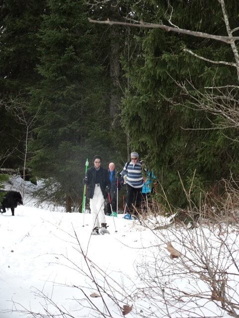 Randonnées raquettes à neige, 2015