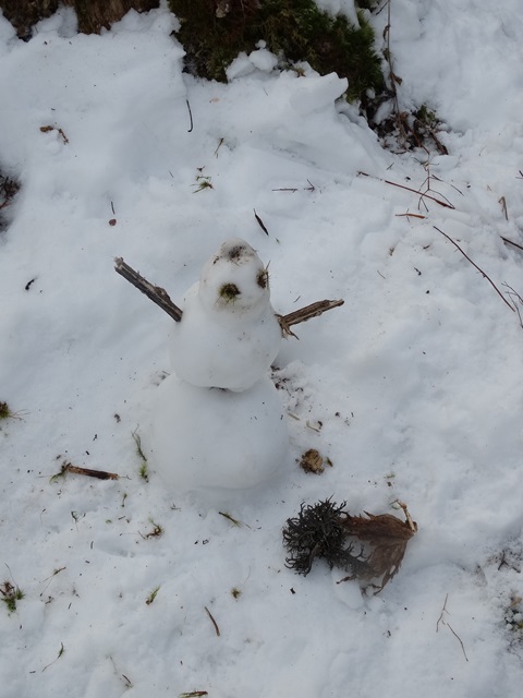 Randonnées raquettes à neige, 2015