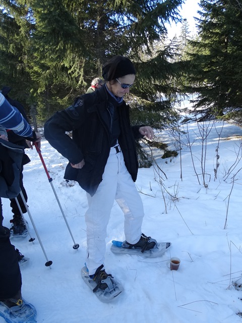 Randonnées raquettes à neige, 2015