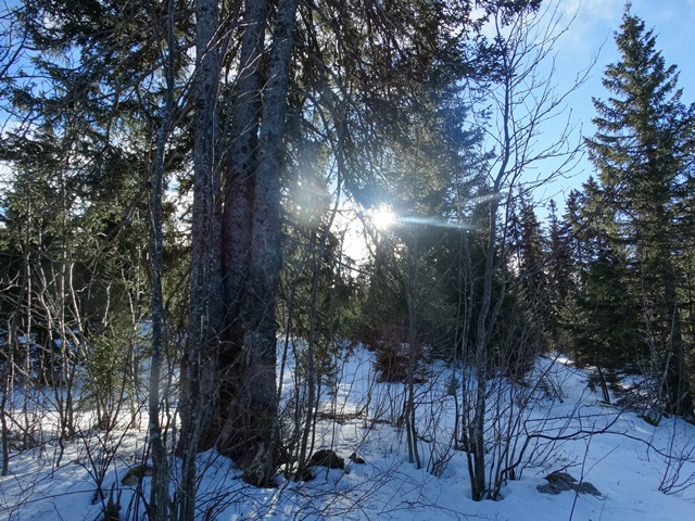 Randonnées raquettes à neige, 2015