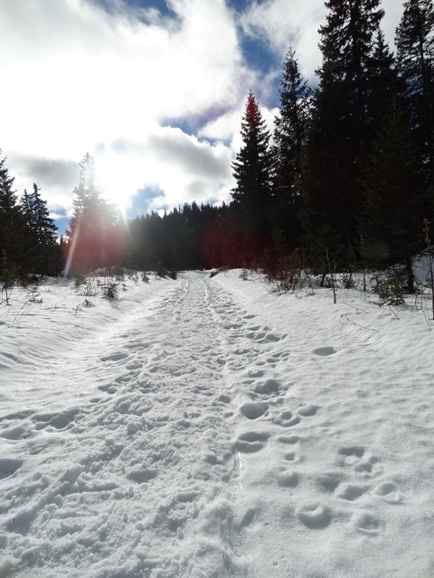 Randonnées raquettes à neige, 2015