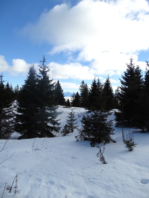 Randonnées raquettes à neige, 2015