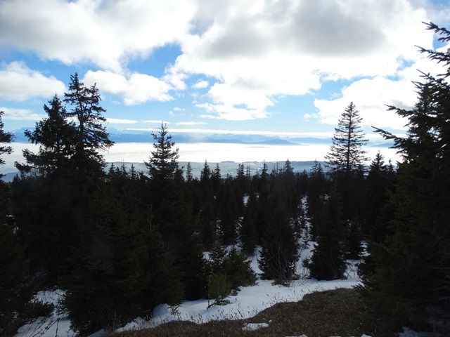 Randonnées raquettes à neige, 2015