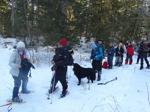 Randonnées raquettes à neige, 2015