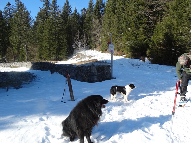 Randonnées raquettes à neige, 2015