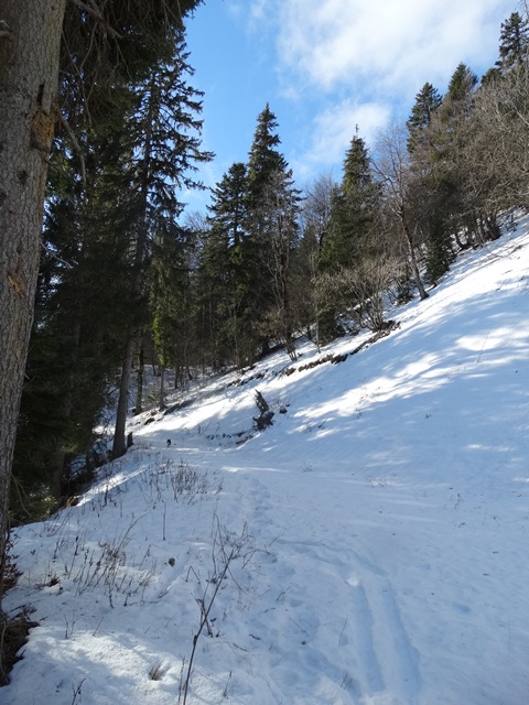 Randonnées raquettes à neige, 2015