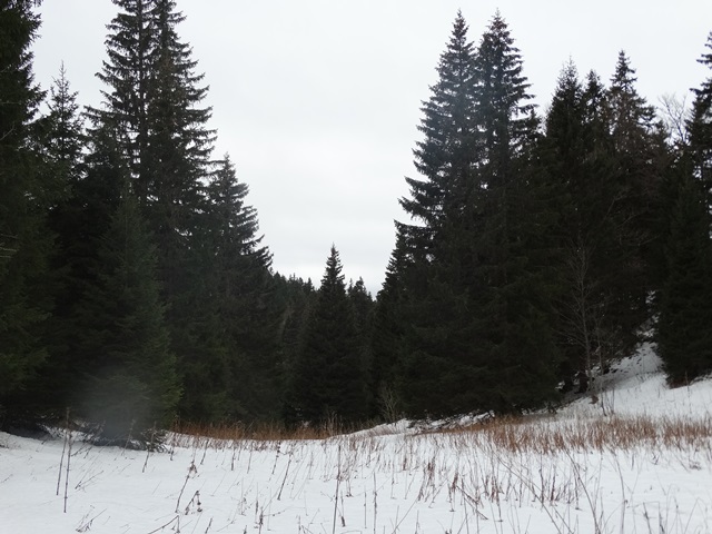 Randonnées raquettes à neige, 2015