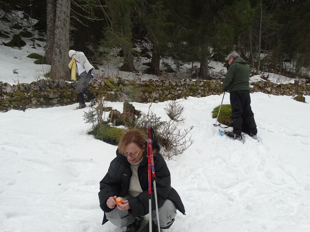 Randonnées raquettes à neige, 2015