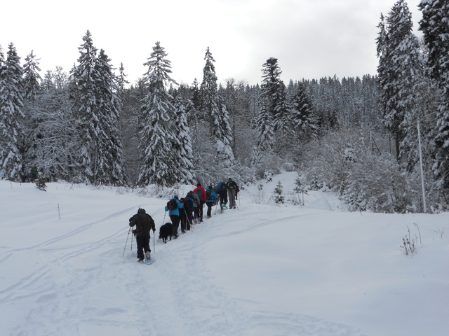 Raquettes à neige 01/2016