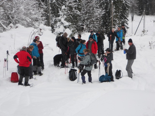 Raquettes à neige 01/2016