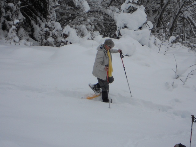 Raquettes à neige 01/2016