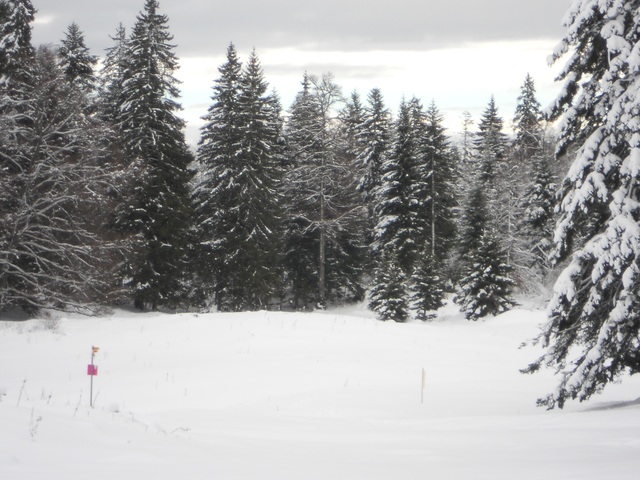 Raquettes à neige 01/2016