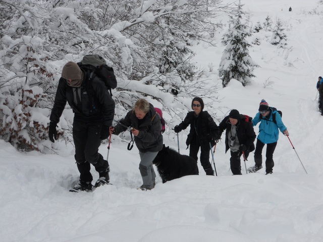 Raquettes à neige 01/2016