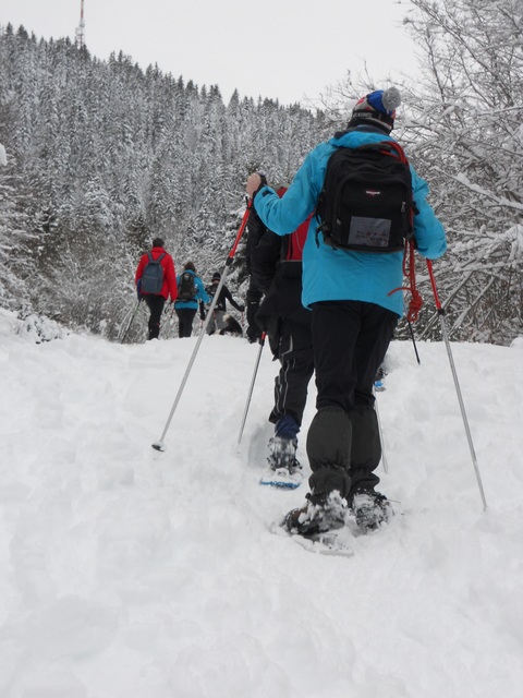 Raquettes à neige 01/2016