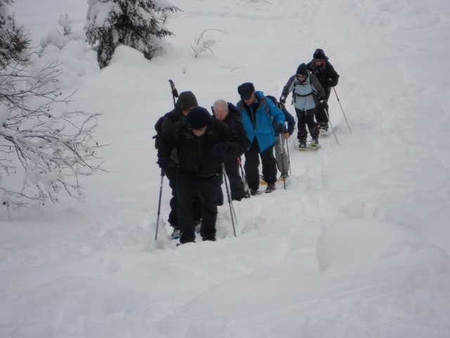 Raquettes à neige 01/2016