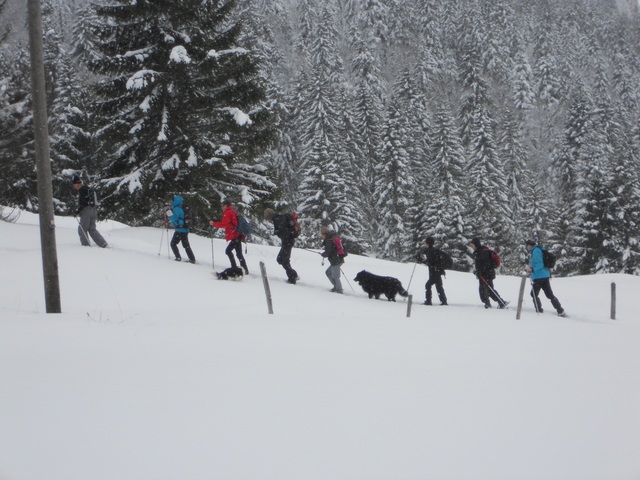 Raquettes à neige 01/2016