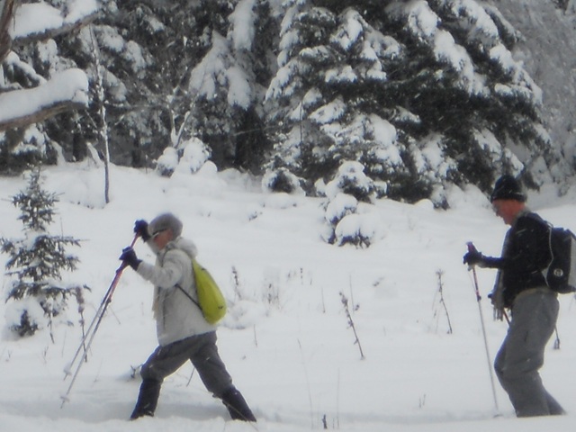 Raquettes à neige 01/2016