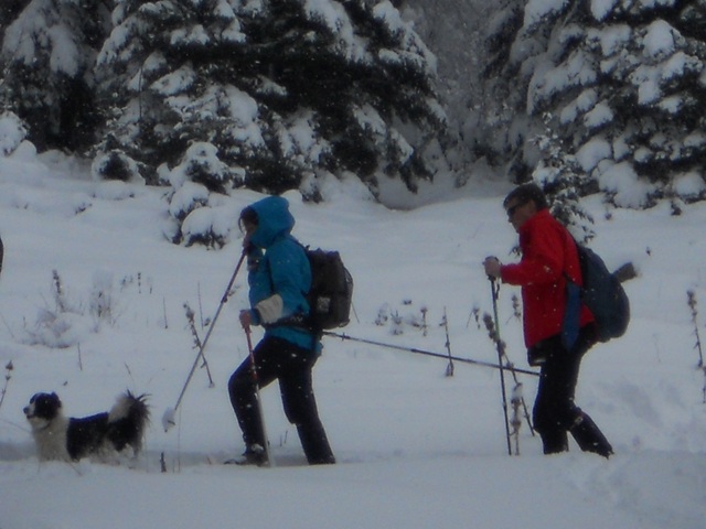 Raquettes à neige 01/2016