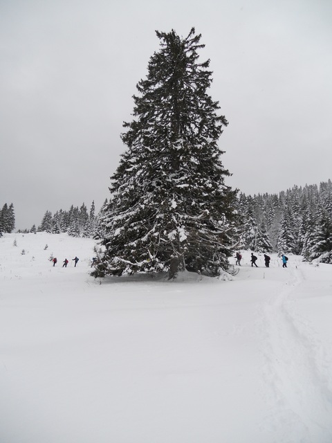 Raquettes à neige 01/2016