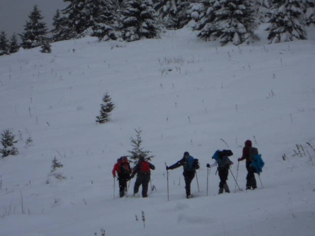 Raquettes à neige 01/2016