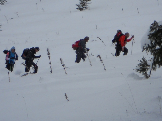 Raquettes à neige 01/2016