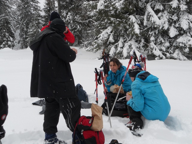 Raquettes à neige 01/2016