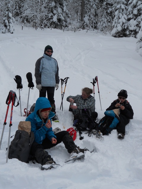 Raquettes à neige 01/2016