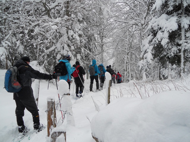 Raquettes à neige 01/2016