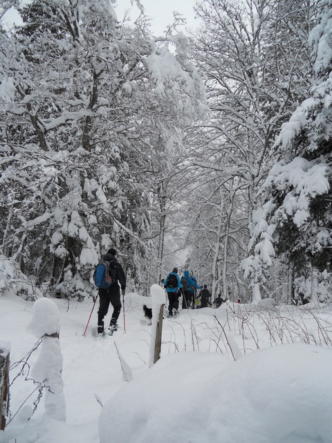 Raquettes à neige 01/2016