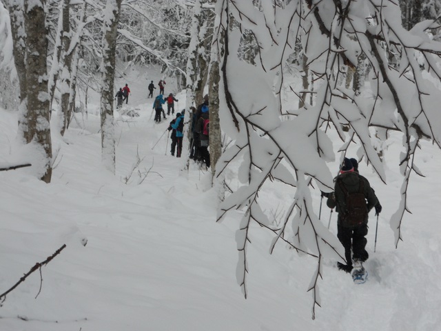 Raquettes à neige 01/2016