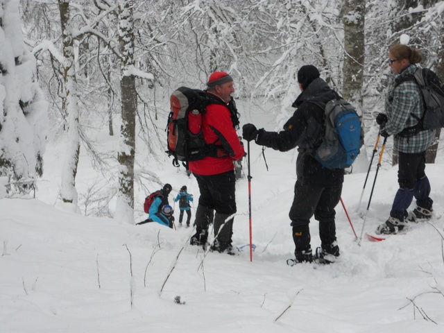 Raquettes à neige 01/2016