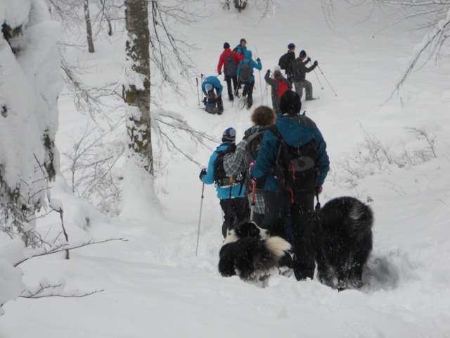 Raquettes à neige 01/2016