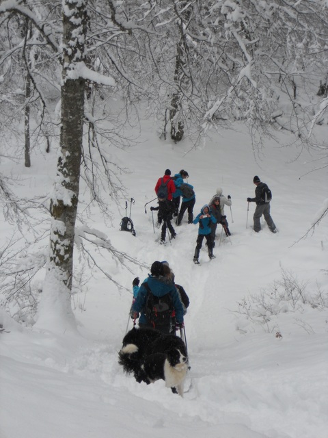 Raquettes à neige 01/2016