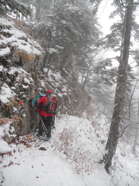 Raquettes à neige 01/2016