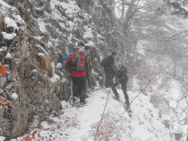 Raquettes à neige 01/2016