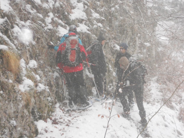 Raquettes à neige 01/2016