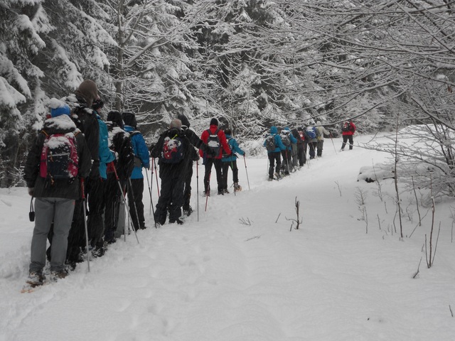 Raquettes à neige 01/2016