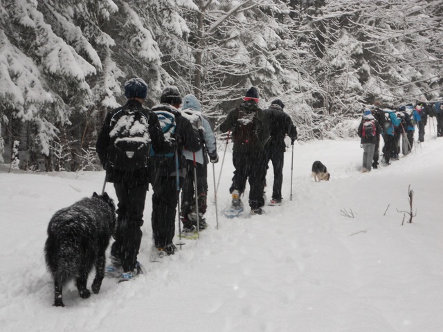 Raquettes à neige 01/2016