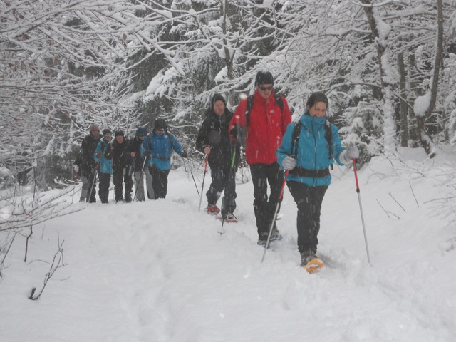 Raquettes à neige 01/2016