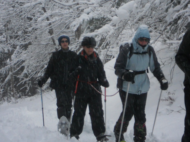 Raquettes à neige 01/2016